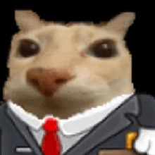 Guest_MoonPresence