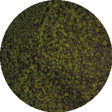 Guest_7qyarrq8q