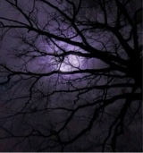 Guest_synmoon