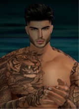 Guest_mike816637
