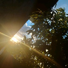 Guest_Cianna40