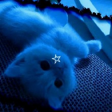 Guest_sunglowlightseagd9f7