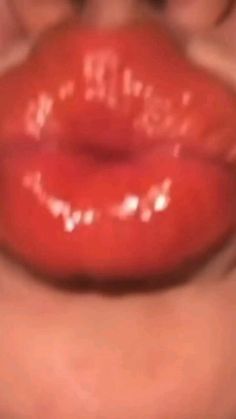 Guest_1JesYKmm