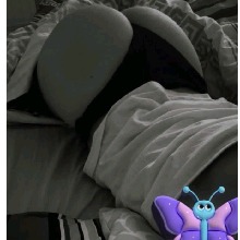 Guest_Rubi684071