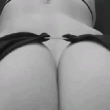 Guest_Ximena279637