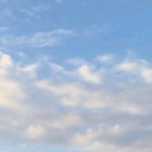 Guest_Traviscloutt