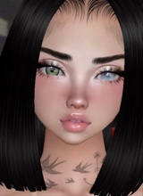 Guest_Jo0o0o0