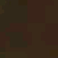 Guest_Ava1558