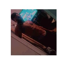 Guest_FigueroaYadiel