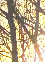 Guest_kehlani474173