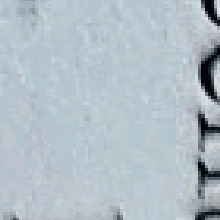 Guest_Alexis537675