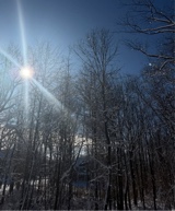 Guest_Alexandra390923