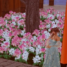 Guest_Nova1838