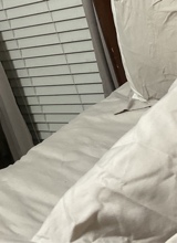 Guest_talyer