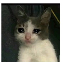 Guest_xxEsferitaxX