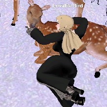 Guest_LovableBird