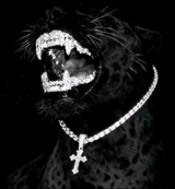 Guest_lxvvekkay