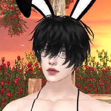 Guest_Noahzinh