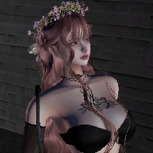 Guest_koii11
