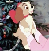 Guest_Hailey328066