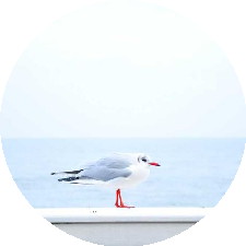 Guest_vmfrn3wp