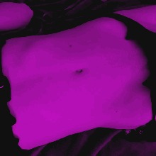 Guest_wideeyeddarkscar5ad0