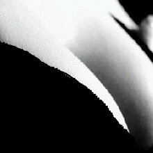 Guest_Griselda22