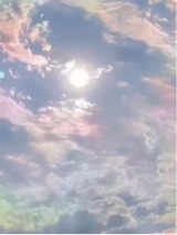 Guest_faith179024