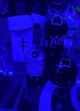 Guest_Treyvon938537