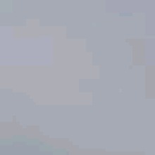 Guest_Luuh878991