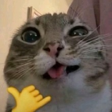 Guest_Reyhanhjrgnwn