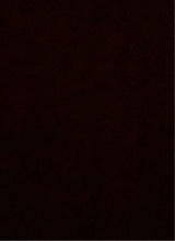 Guest_hottiegoinmia