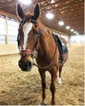 Guest_sarahmiller10