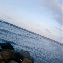 foto del avatar
