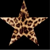 Guest_stunantati