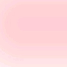Guest_Val120411