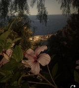 Guest_Rosethebest