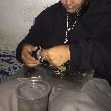 Guest_dulllightfuchsiaae40