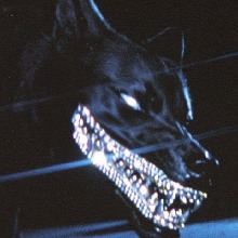 Guest_gticaxd1