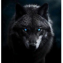 Guest_azuredarkspringgdcb1