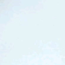 Guest_Elenemiggy1414