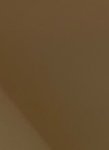 Guest_rae153904