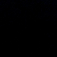 Guest_Moon756097