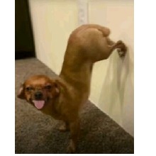Guest_MosthatedTy1
