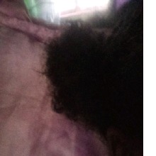 Guest_RachaelH