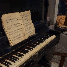Guest_pastellilypad