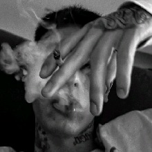 Guest_vulgoTHxz