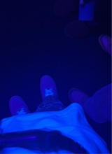 Guest_CJJones