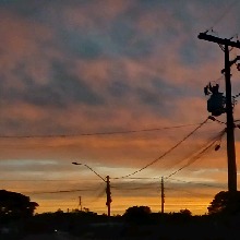 Guest_Mariana713312