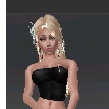 Guest_Ardenkitten